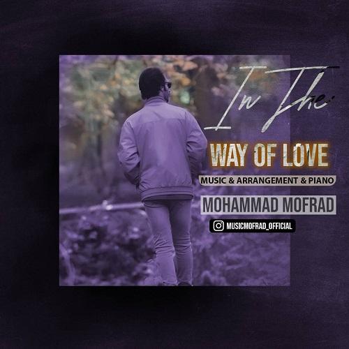 محمد مفرد در پی دوست داشتن تو